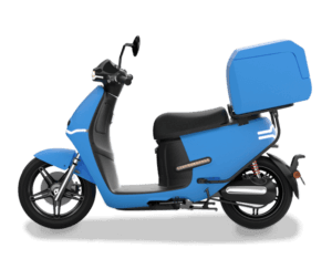 HORWIN EK1 DS (Delivery Scooter)