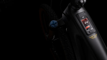 Velduro Rogue R - E-MTB