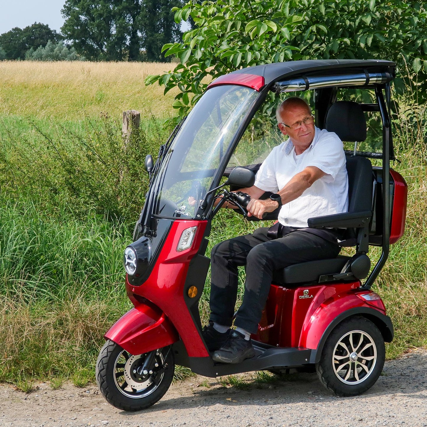 Rolektro Deisla DS3-25 mit Dach und Wetterschutz, Lithium-Akku, Rot, 25 km/h